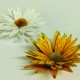 Cheery Lynn Designs B704 - 3D Daisy Flower