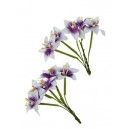 https://uau.bg/10976-18377-thickbox/scrapberry-s-scb290404-stemmed-lily-purplewhite-10pcs.jpg