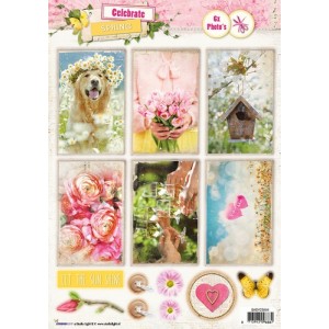 StudioLight EASYCS555 / A4 - Celebrate Spring 555