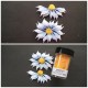 Poppystamps 1842 - Ragged Daisy