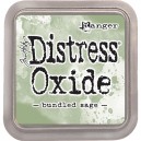 https://uau.bg/14443-25560-thickbox/tim-holtz-tdo55853-distress-oxides-bundled-sage.jpg