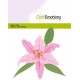CraftEmotions 115633/0429 - Lily 3D