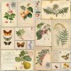 Fabrika Decoru FDSP-01107 12'x12' - Summer Botanical Diary