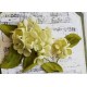 Craft and You CW068 - Hydrangea