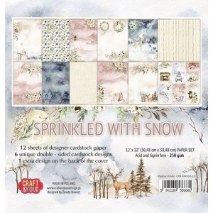 Craft and You CPS-SWS30-12 12'x12' - Sprinkled with Snow