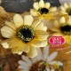 Craft and You CW138 - Cosmos Flower