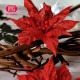 Craft and You CW102 - Poinsettia 2