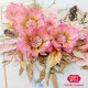 Craft and You CW225 - Apple Blossom
