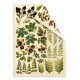 Fabrika Decoru FDSPC-001 6'x8' - Botany Summer