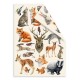 Fabrika Decoru FDSPC-002 6'x8' - Forest Life