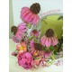 Heartfelt Creations HCD1-7180 - Blossoming Coneflower