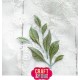 Craft and You CW259 - Magda's Leaves Set