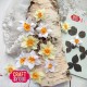 Craft and You CW277 - Magda's Daffodil
