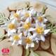 Craft and You CW277 - Magda's Daffodil