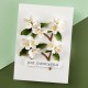 Spellbinders S3496 - Mock Orange