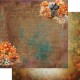 Alchemy of Art AA-IAC-08 8'x8' - In Autumn Colors