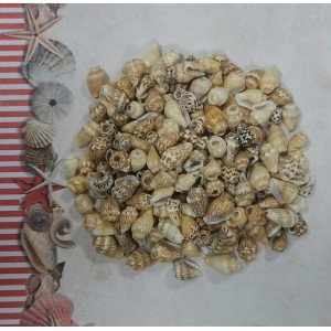 Uau.bg SD05 - Декоративни мини рапанчета цвят капучино