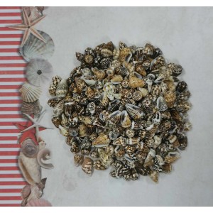 Uau.bg SD06 - Декоративни мини рапанчета цвят кафяв