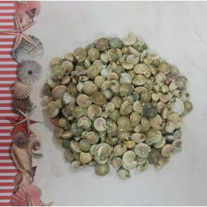 Uau.bg SD09 - Декоративни сиви охлювчета