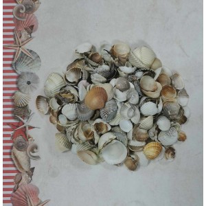 Uau.bg SD11 - Декоративни мидички меланж