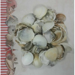 Uau.bg SD13 - Декоративни мидички микс