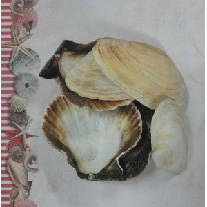 Uau.bg SD15 - Декоративни мидички два вида