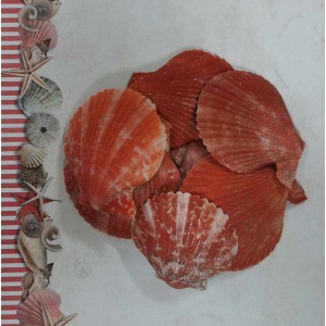 Uau.bg SD19 - Декоративни оранжеви плоски мидичкии