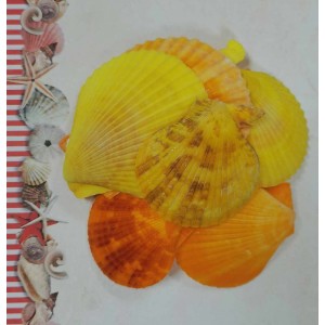 Uau.bg SD21 - Декоративни жълто-оранжеви плоски мидичкии