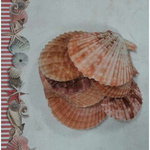 Uau.bg SD22 - Декоративни бледо оранжеви плоски мидичкии