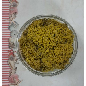 Uau.bg SD30 Скандинавски Мъх - Горчица