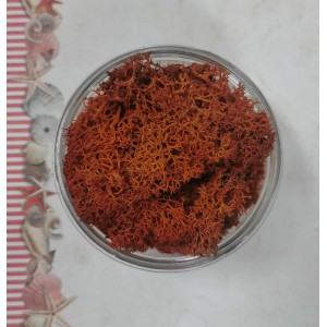 Uau.bg SD31 Скандинавски Мъх - Оранжев