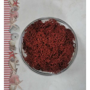 Uau.bg SD35 Скандинавски Мъх - Керемида