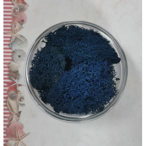 Uau.bg SD36 Скандинавски Мъх - Син