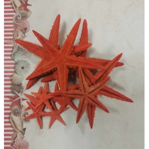 Uau.bg SD40 - Морски звезди натурални червени