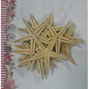 Uau.bg SD41 - Морски звезди натурални