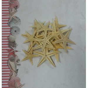 Uau.bg SD42 - Морски звезди натурални