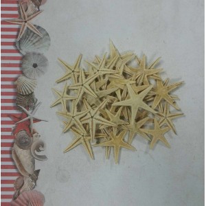 Uau.bg SD43 - Морски звезди натурални