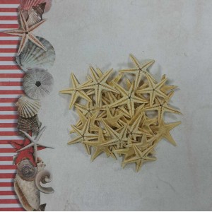 Uau.bg SD44 - Морски звезди натурални