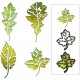 Sizzix 664970 - Leaf Print