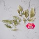 Craft and You CW362 - Vintage Leaves by Gosia