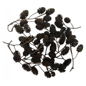 Uau.bg CD002 - Мини Клончета на Елша