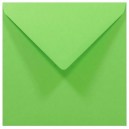 https://uau.bg/21689-55896-thickbox/papicolor-304952-160x160mm-may-green.jpg