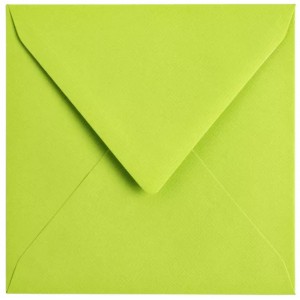 Papicolor 304947 160x160mm - Apple Green