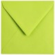Papicolor 304947 160x160mm - Apple Green