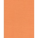 https://uau.bg/21738-55961-thickbox/card-deco-blkg-a410-a5-soft-orange.jpg