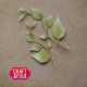 Craft and You CW400 - Twigs by Gosia